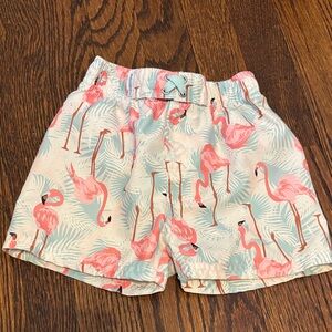 Flamingo Print Kids Swim Trunks